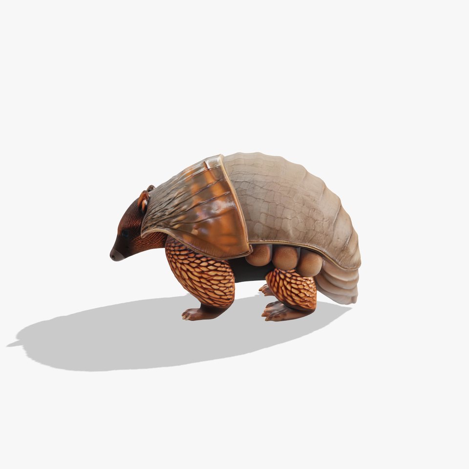 Armadillo Creature D Model Pack